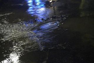 Zapadła się jezdnia na Pradze-Północ. W półtorametrową dziurę wpadły auta