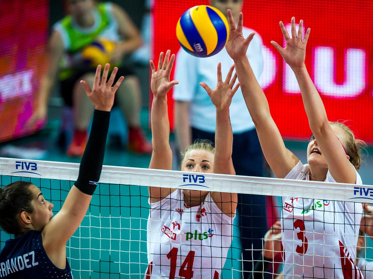 Polska - Portoryko: eliminacje do Igrzysk Olimpijskich 2020. Gdzie oglądać mecz siatkarek w TV i online?