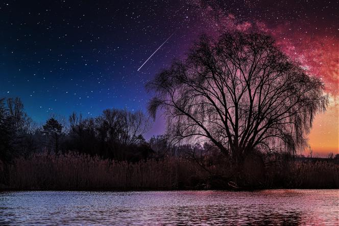 Perseidy 2021. Kiedy i gdzie obserwować roje meteorów?