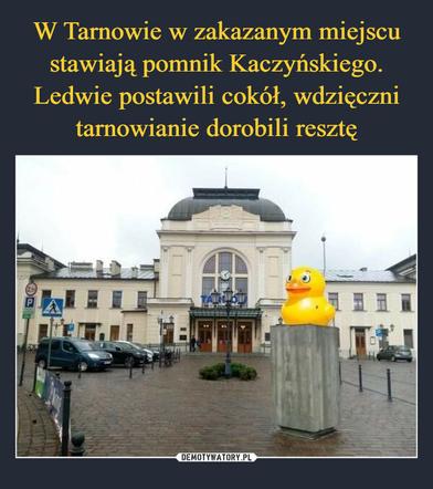 Najlepsze memy internautów o Tarnowie