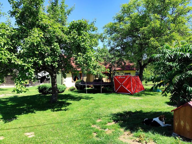 Wielu wciąż nie może uwierzyć, że na tym podwórku doszło do egzekucji 