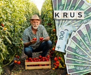 70 mln zł z KRUS na listonosza dla rolnika