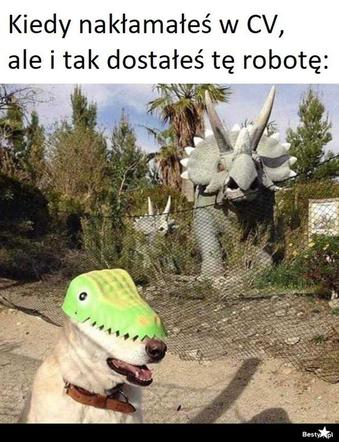 Memy o pracy