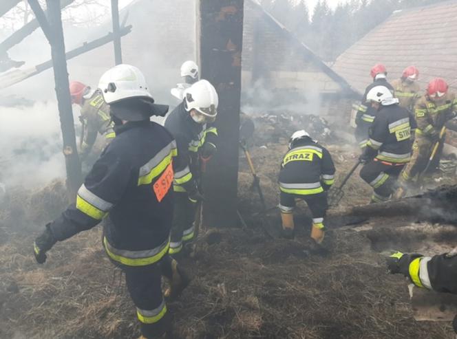 Tragedia w Jasienicy Rosielnej, pożar zabrał im dorobek życia.  Otrzymają 50 tys. złotych z budżetu województwa