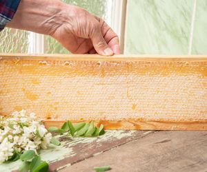 Uspokoi nie tylko nerwy. Doskonały, gdy dokucza ci brzuch. Miód, który kochają Polacy