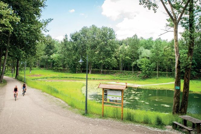 Sosnowiec idealnym miastem na jednodniowy city break. Był tam sam John Malkovich