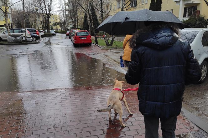 Taka będzie pogoda na początku listopada. Nawet 17 stopni, ale synoptycy widzą jeden problem