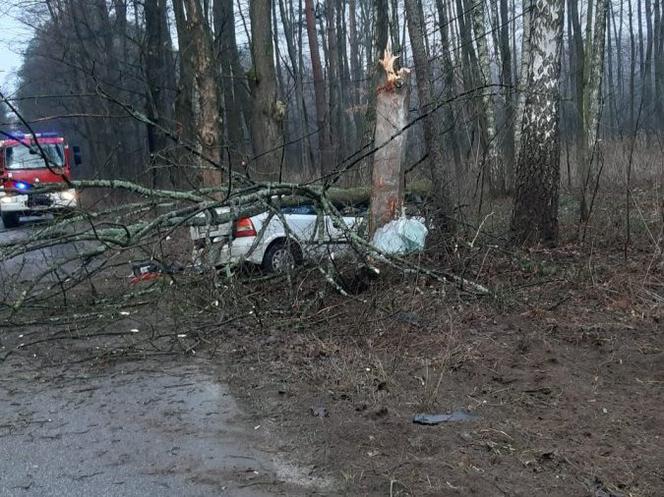 Wypadek w Żołyni