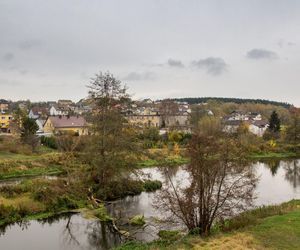 Drwęca
