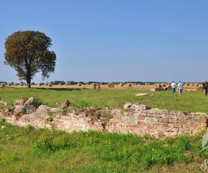 Prace archeologiczne w Sławie. Czego dokładnie szukają?