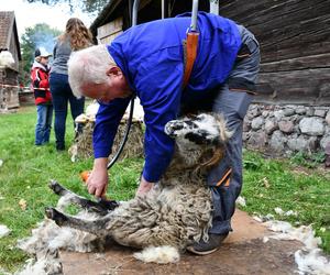 Smaki jesieni w skansenie. Zobacz, co działo się na imprezie w Olsztynku [ZDJĘCIA]