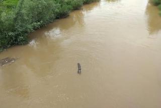 Sytuacja hydrologiczna w Tarnowie. Czy grozi nam powódź?