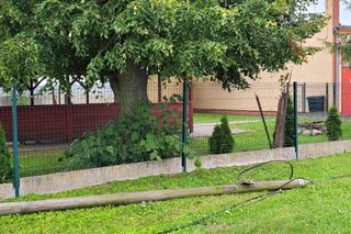 Skosił kombajnem… słupy telefoniczne. Policjanci z Gostynia ustalili sprawcę