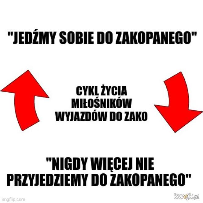 Najlepsze memy o górach i o góralach! Te grafiki bawią do łez 