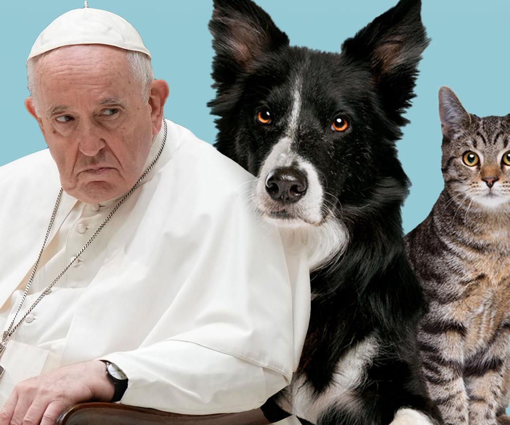 Papież a zwierzęta