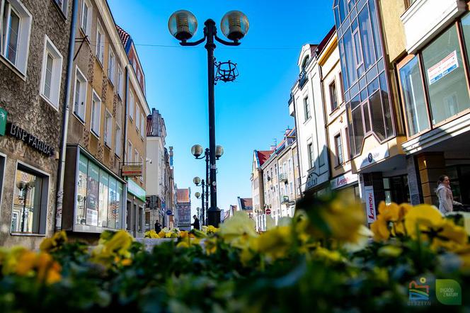 Olsztyn budzi się do życia. Mimo epidemii centrum miasta rozkwita [FOTOGALERIA]