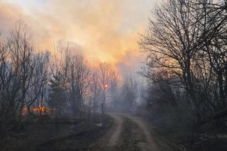 Ugasili pożar w Czarnobylu