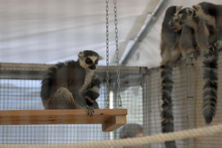 ZooPark ponownie przyciągnął do Targów Lublin tłumy miłośników zwierząt