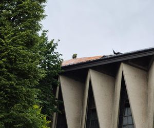 Skutki nawałnic w powiatach brzeskim i tarnowskim z 7 lipca 2025 roku