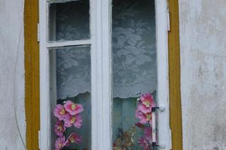 Stanisława umierała w męczarniach. Głodziła ją własna córka [GALERIA] 