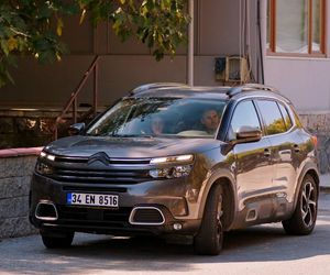 Miłość i nadzieja odc. 267. Kuzey, Bahar