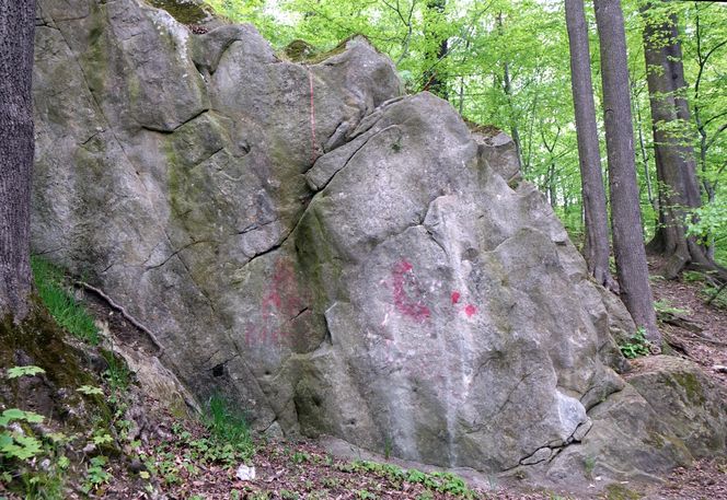 Rezerwat Grapa w Żywcu