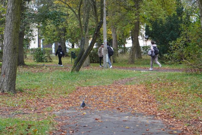 Park w Skarżysku-Kamiennej w opłakanym stanie! 