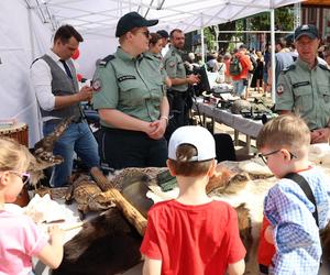 Piknik patriotyczny i koncert „Polskie Tańce Narodowe i Regionalne” na pl. Litewskim w Lublinie