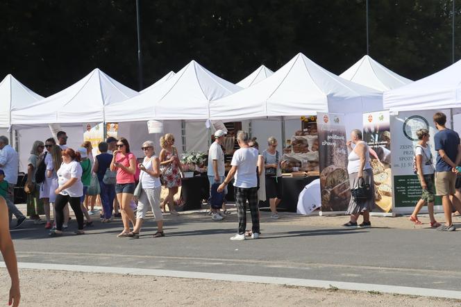 Dożynki miejskie i Święto Chleba w Poznaniu