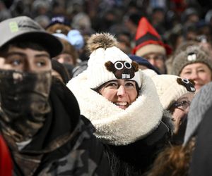 Świstak przepowiedział sześć tygodni zimy