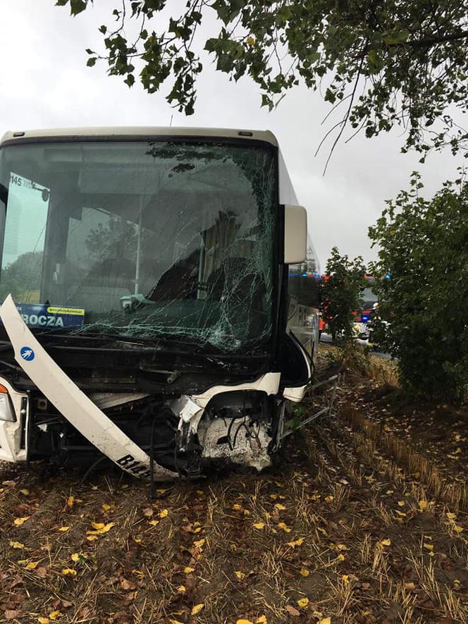 Zderzenie osobówki z autobusem PKS w Sicienku! Dwie osoby poszkodowane [ZDJĘCIA]