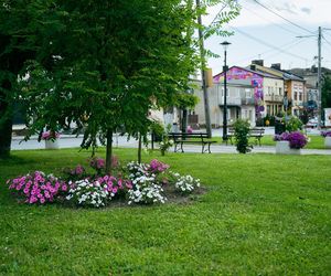 Klimontów 