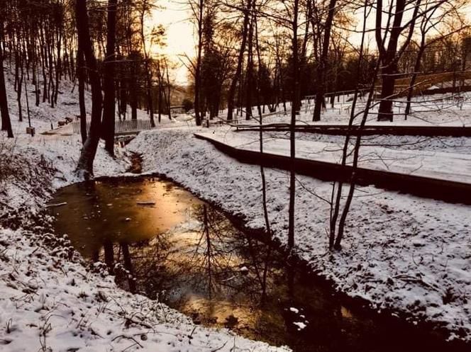 Park Miejski w Starachowicach w zimowej szacie