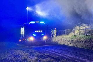 Lubelskie: Wezwanie na cmentarz. Strażacy zgasili ogień i uratowali zajączka
