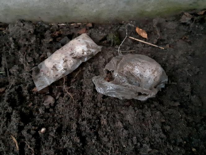 Otwock: policja zatrzymała dilera, który zakopał w ziemi ponad 2 kg narkotyków
