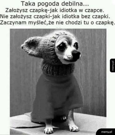 Memy o pogodzie 