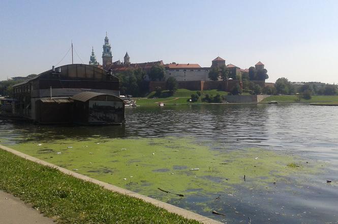 Wisła w takiej odsłonie nie zachęca...