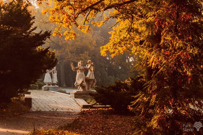 Park Śląski jesienią