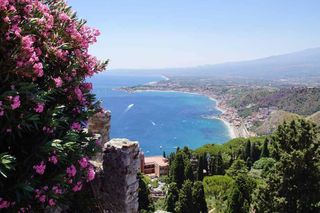 Wizz Air zaskakuje kolejną trasą. Mieszkańcy Wrocławia będą zachwyceni! 
