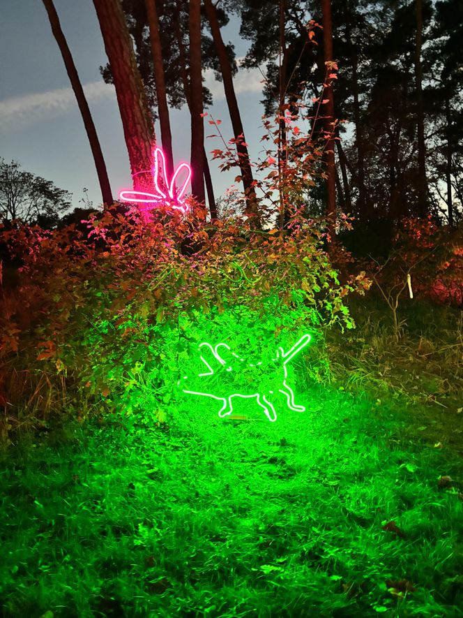 Otwarcie Lumina Parku w Poznaniu. Tegoroczne świecące miasteczko robi fenomenalne wrażenie!