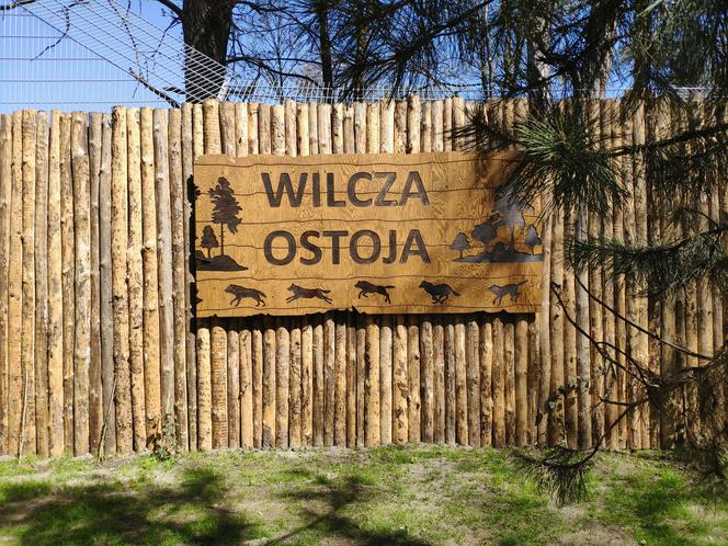 Wilcza Ostoja we wrocławskim zoo