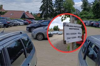 Parkingi kosztują majątek, ale wszyscy płacą bez mrugnięcia. Miejskie opłaty o pikuś