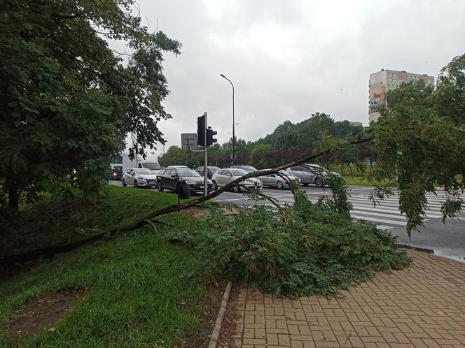 Przez Lublin przeszła potężna nawałnica. Trwa usuwanie jej skutków. 