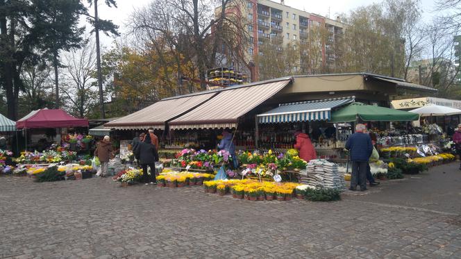 Takie kwiaty i znicze można kupić przy wrocławskich cmentarzach