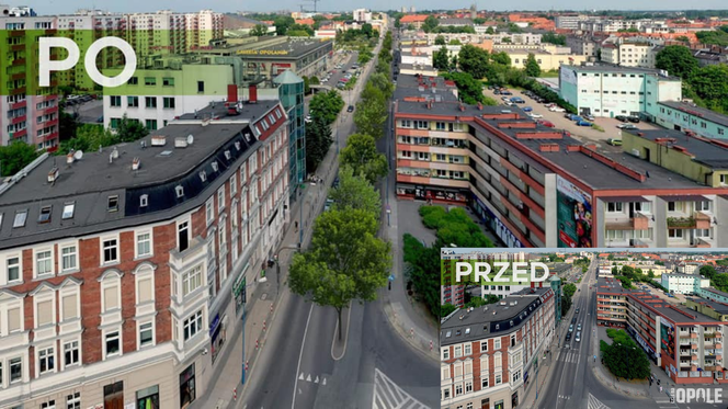 Opole. Ozimska podzielona drzewami?! Zielony pas na środku drogi. Zdradzamy szczegóły inwestycji [ZDJĘCIA]