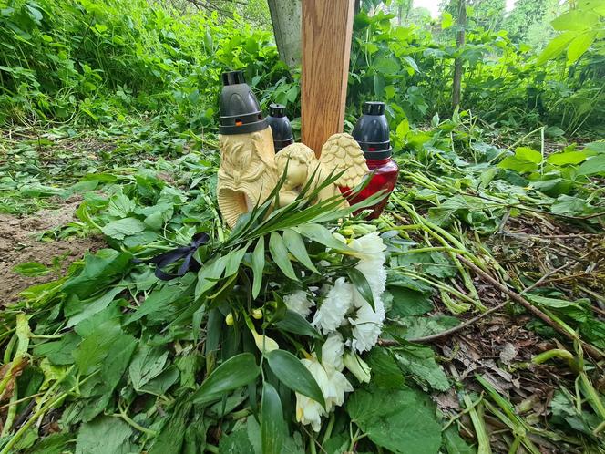 14-latek zginął rażony prądem. Dramat w Krośnie [GALERIA]