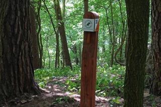Nowa atrakcja turystyczna pod Olsztynkiem. Fani biegów na orientację będą zachwyceni