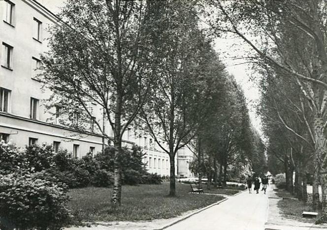 Świdnik