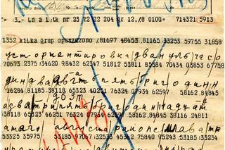 103. rocznica Bitwy Warszawskiej 1920. Cud nad Wisła nie spadł z nieba