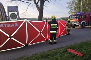 Na prostej zjechał z drogi i uderzył w drzewo